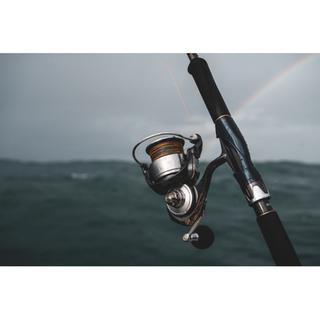 DAIWA CERTATE 24 SW 6000 H 