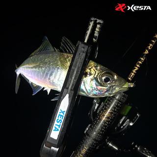 Μολυβοκεφαλή Xesta Bullet Rib Head TG Tungsten