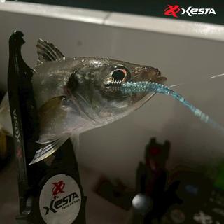 Μολυβοκεφαλή Xesta Bullet Rib Head TG Tungsten