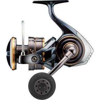 DAIWA Caldia SW 4000 CXH