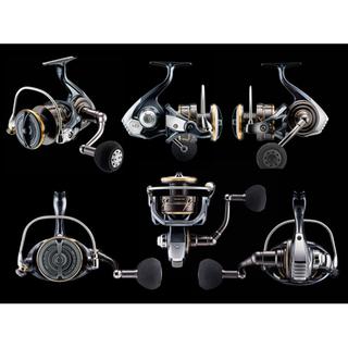DAIWA Caldia SW 4000 CXH