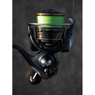 DAIWA Caldia SW 4000 CXH