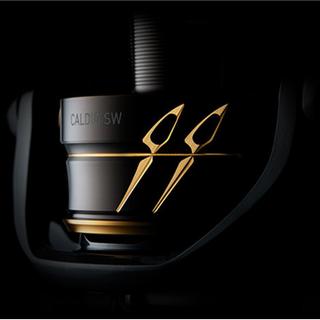 DAIWA Caldia SW 4000 CXH