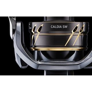 DAIWA Caldia SW 4000 CXH