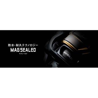 DAIWA Caldia SW 4000 CXH