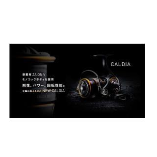 Μηχανισμός Daiwa Caldia MQ LT 2500-CXH