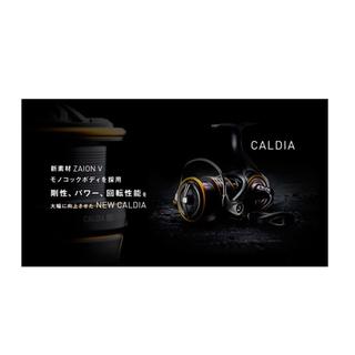 DAIWA Caldia MQ LT 2500-CXH
