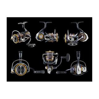 DAIWA Caldia MQ LT 2500-CXH
