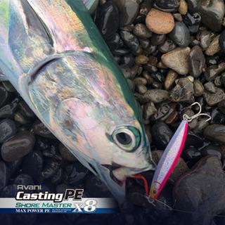VARIVAS Avani Casting Shore Master PE Max Power X8
