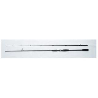 WINNER Magic Shore Jigging 2.70m / 30-110gr